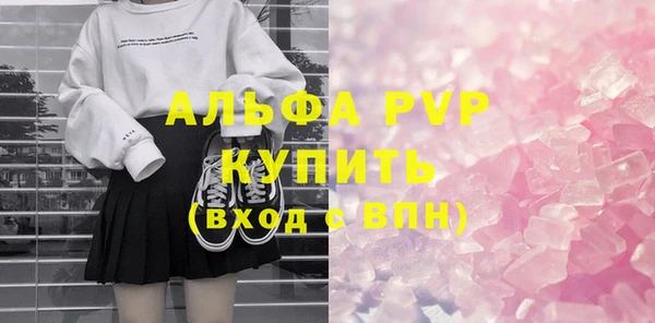 прущие грибы Магас
