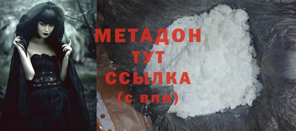 прущие грибы Магас