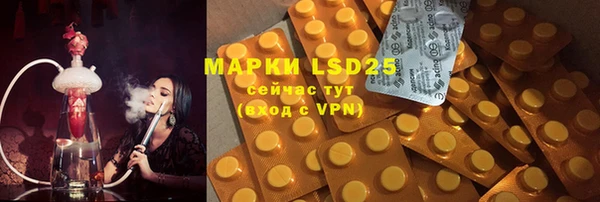 твердый Майский