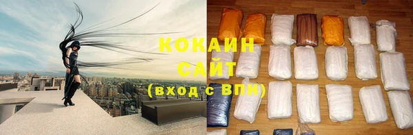 твердый Майский