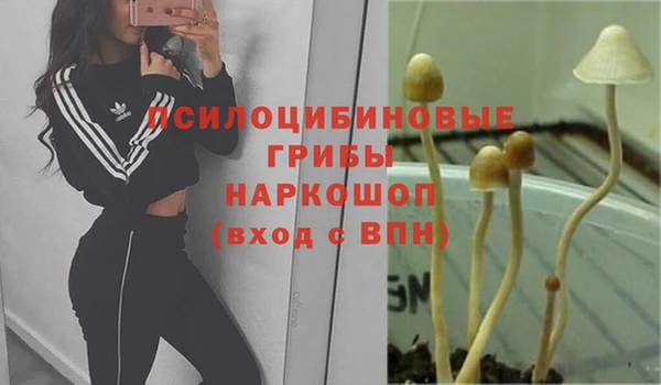 мяу мяу кристалл Магадан