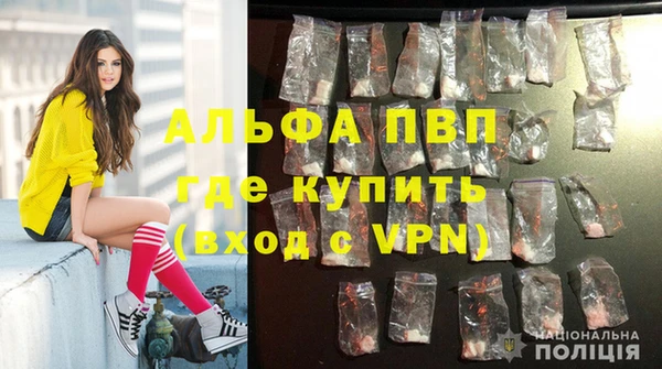твердый Майский
