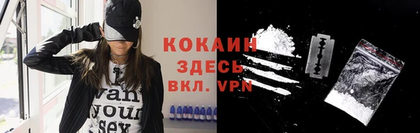 твердый Майский