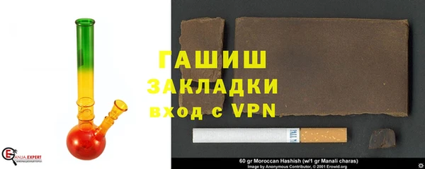 прущие грибы Магас