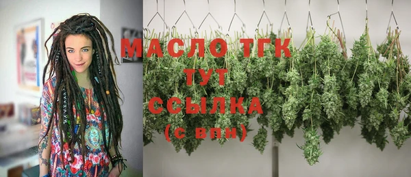 прущие грибы Магас