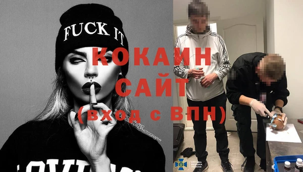 прущие грибы Магас