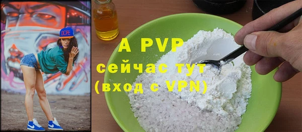 твердый Майский
